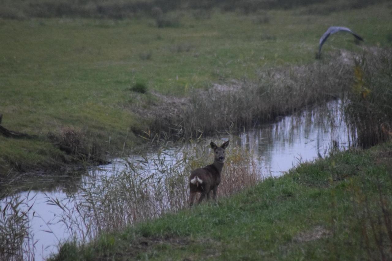 B&B 'T Steurgat Werkendam Exteriér fotografie