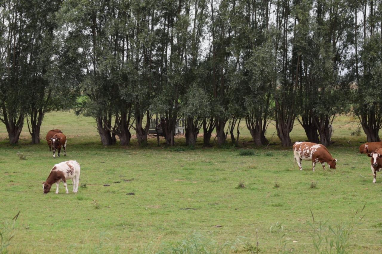 B&B 'T Steurgat Werkendam Exteriér fotografie